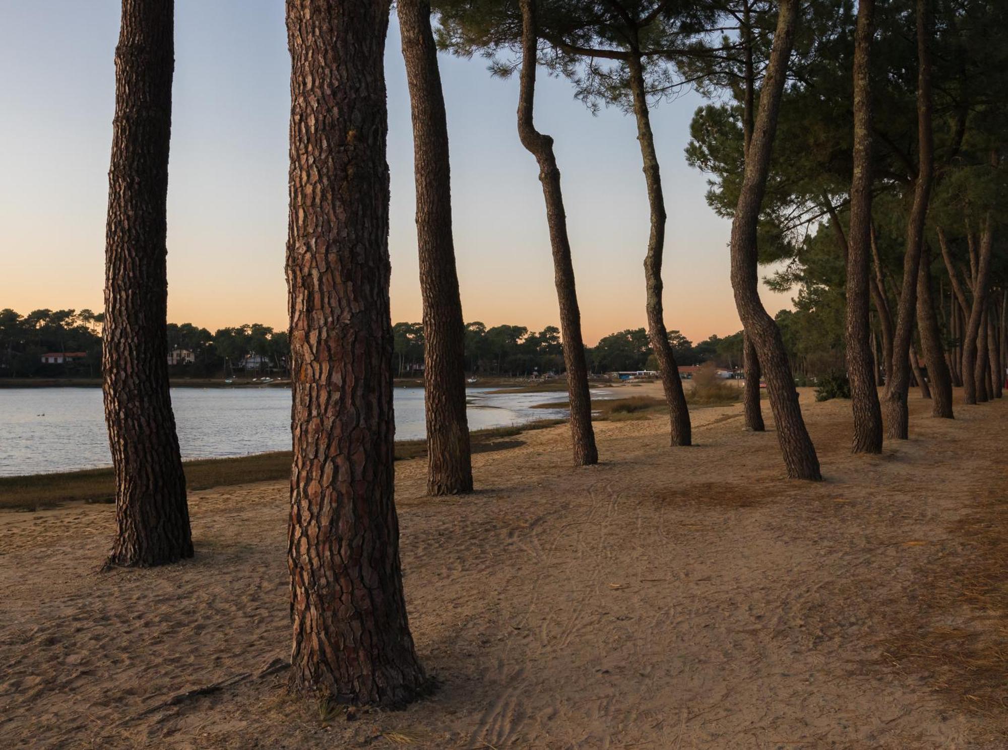 Residence Hoteliere Les Acanthes Soorts-Hossegor Exterior foto
