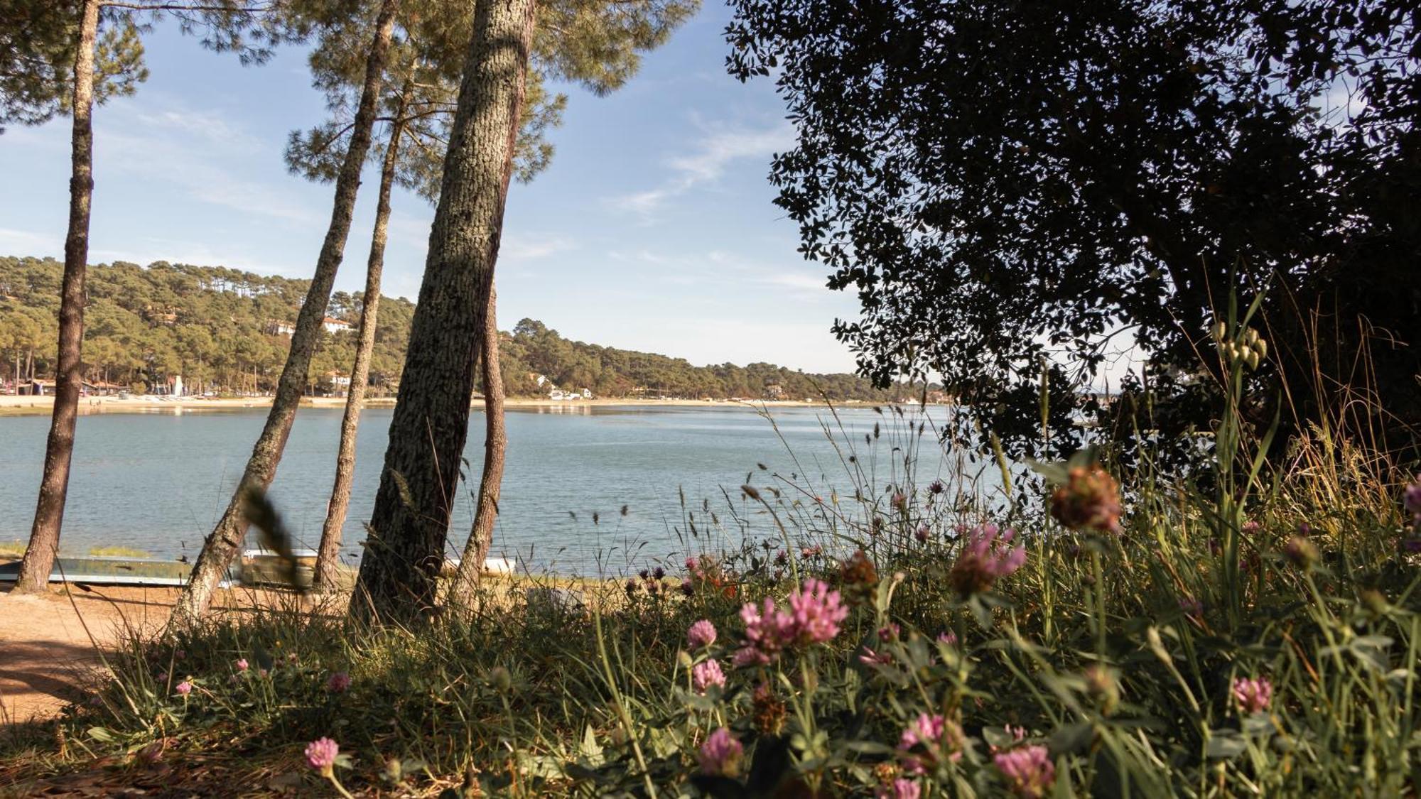 Residence Hoteliere Les Acanthes Soorts-Hossegor Exterior foto